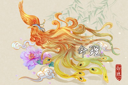 八字两两重复,胎元测算,八字十灵日查法,五行八字,八字铁口直断,八字格局排盘